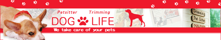 DOGLIFE