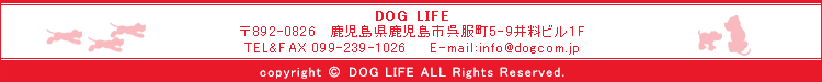 DOGLIFE
