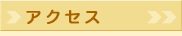 �A�N�Z�X